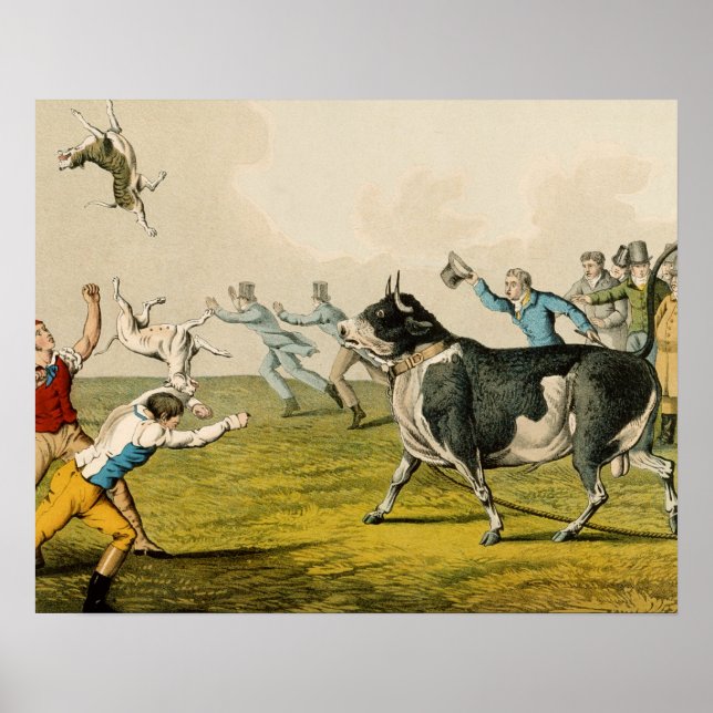 Póster 'Bull Baiting', pub. por Thomas McLean, 1820, (pri (Frente)