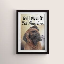 Póster Bull Mastiff Mejor Poster de Mamá