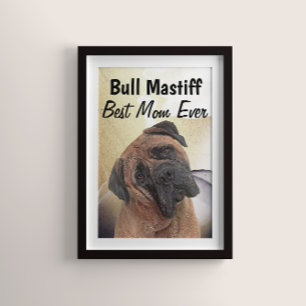 Póster Bull Mastiff Mejor Poster de Mamá