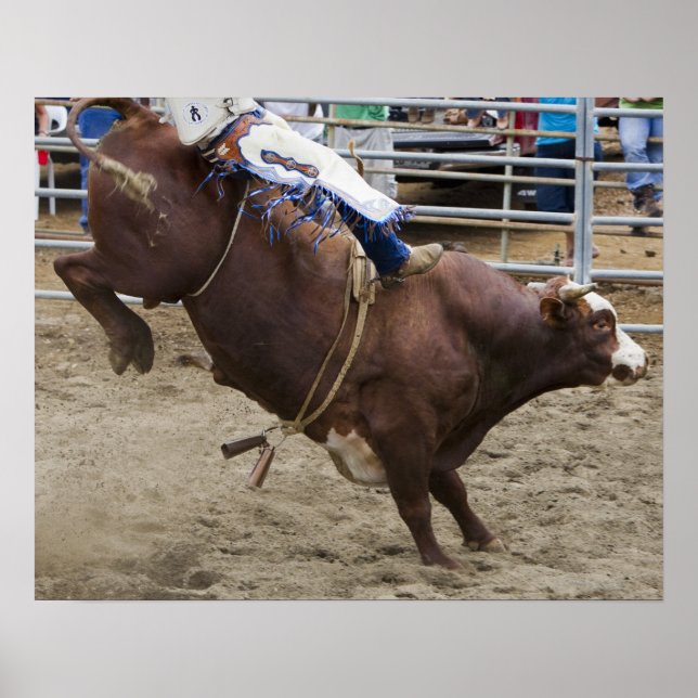 Póster Bull rider en rodeo (Frente)