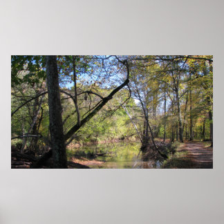 Póster Bull Run Trail