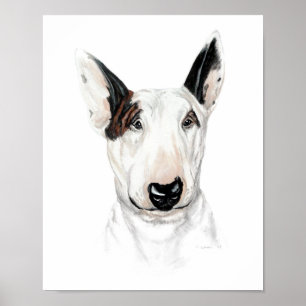 Póster Bull Terrier Bust