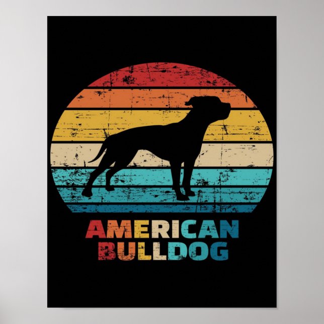 Póster Bulldog americano vintage (Frente)