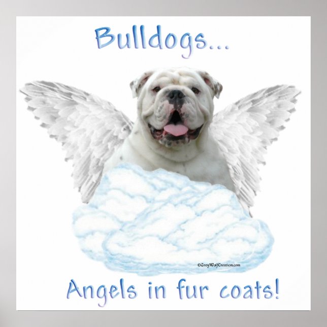 Póster Bulldog Angel Poster (Frente)