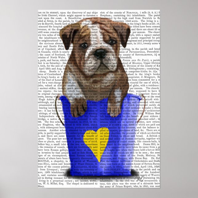 Póster Bulldog Bucket Of Love Blue (Frente)