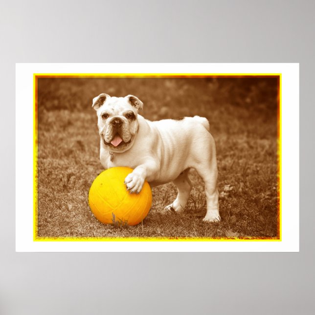 Póster Bulldog Con Poster De Pelota (Frente)