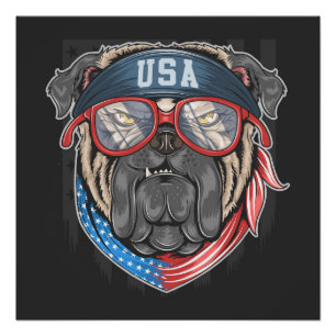 Póster BULLDOG de Estados Unidos