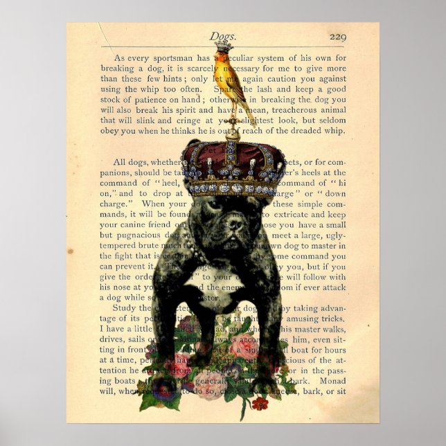 Póster Bulldog de la página del libro de época Rey Poster (Frente)