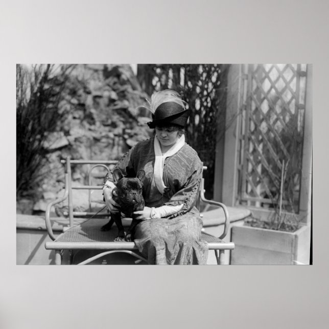 Póster Bulldog del Premio: 1914 (Frente)