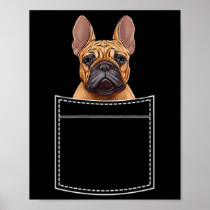 Póster Bulldog En Bolsillo De Pecho Frenchie Pocket