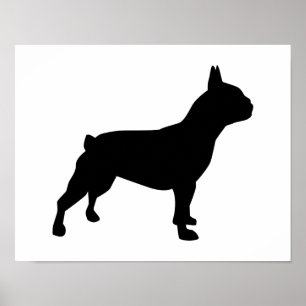 Póster Bulldog francés