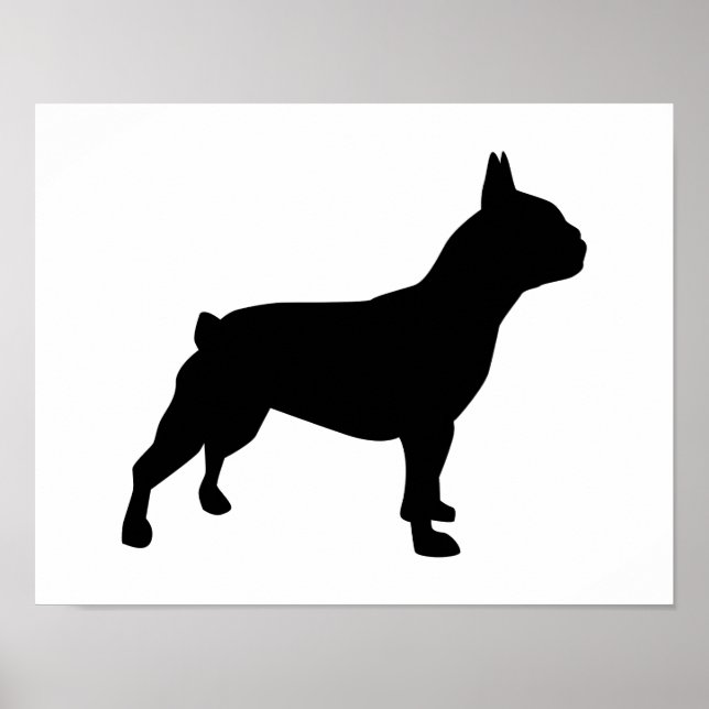 Póster Bulldog francés (Frente)