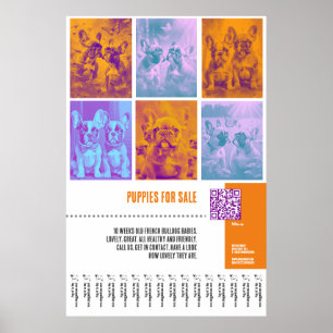 Póster Bulldog francés Cachorros a la venta enorme poster