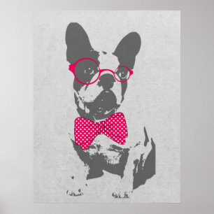 Póster Bulldog francés de animal de moda y divertido