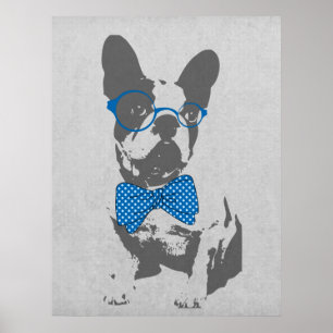 Póster Bulldog francés de animal de moda y divertido