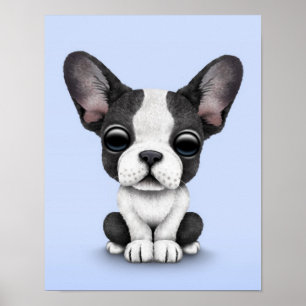 Póster Bulldog francés de cachorro picado perro con azul 