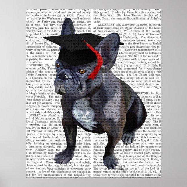 Póster Bulldog francés de graduación (Frente)