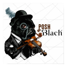 Bulldog francés de Posh Black