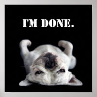 Bulldog francés descansando sobre su espalda