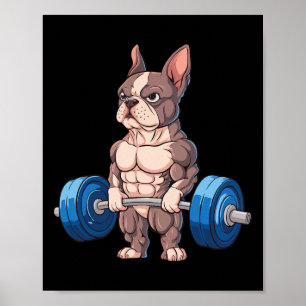 Póster Bulldog Francés Divertido Levantamiento de Pesas C