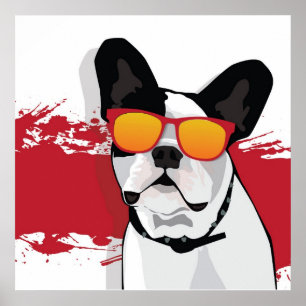 Póster Bulldog francés en Poster de gafas de sol