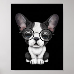 Póster Bulldog francés lindo con gafas, negro