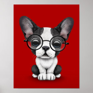 Póster Bulldog francés lindo con gafas, rojo