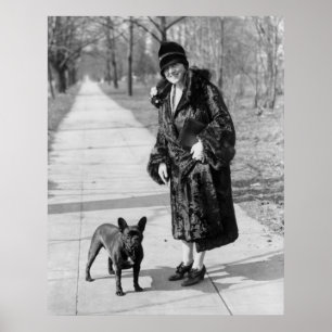 Póster Bulldog francés, los años 20