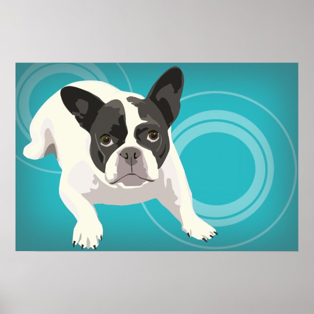 Póster Bulldog francés negro y blanco sobre fondo azul (Frente)