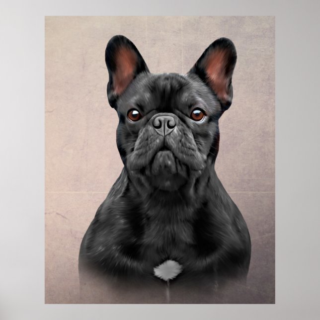 Póster Bulldog francés perro de dibujo (Frente)