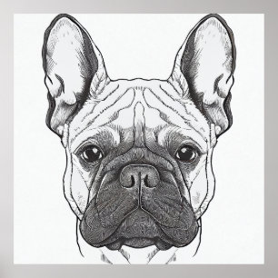 Póster Bulldog francés Perro naturaleza salvaje Ilustraci