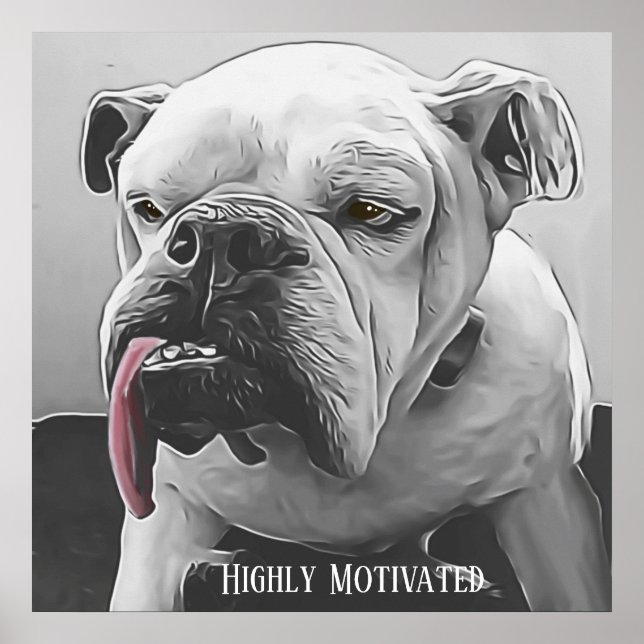 Póster Bulldog gruñón muy motivado y estilizado (Frente)