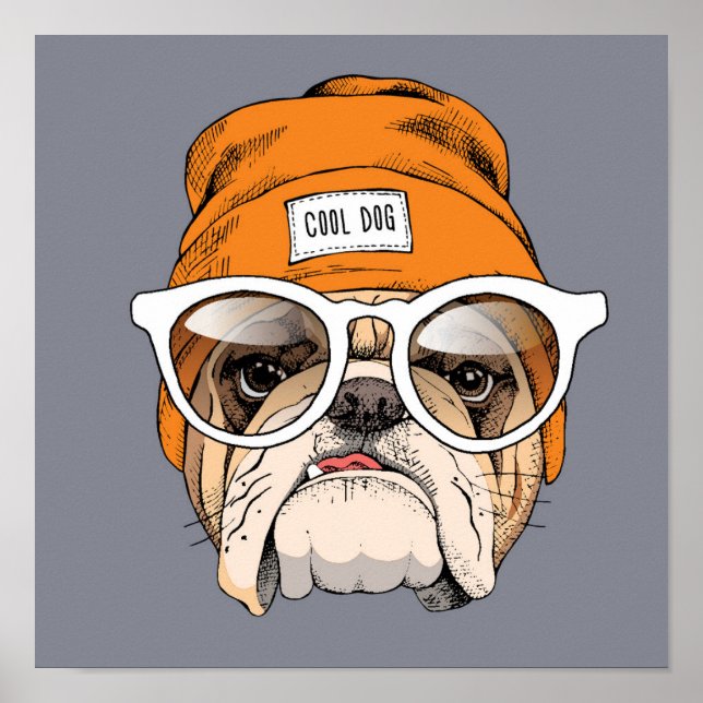 Póster Bulldog Guay Hipster (Frente)