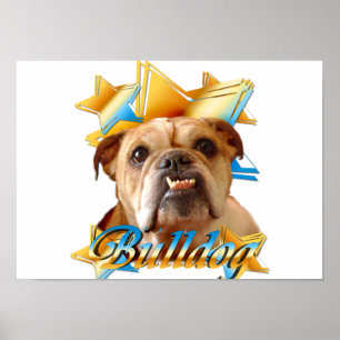 Póster Bulldog inglés
