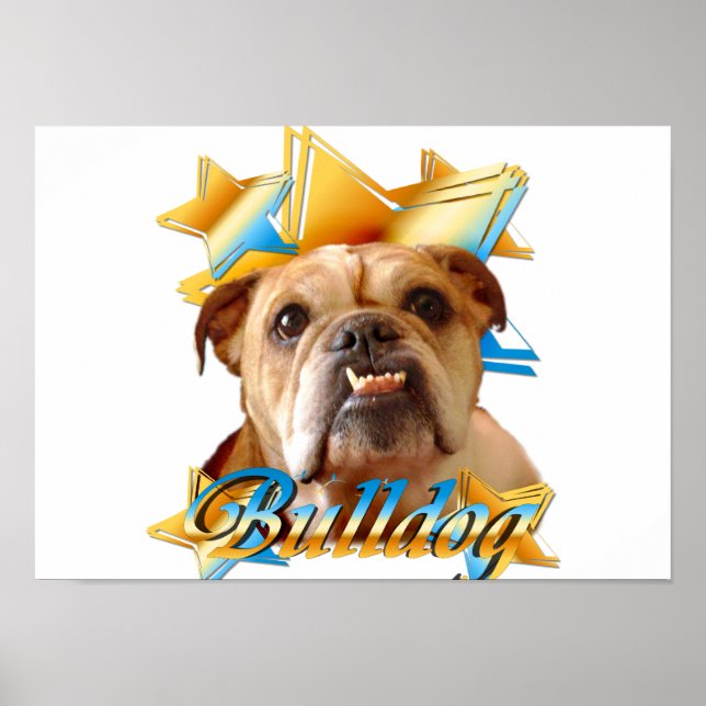 Póster Bulldog inglés (Frente)