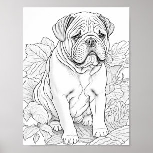 Póster Bulldog inglés Coloración de adultos
