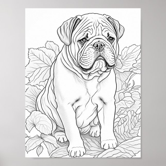 Póster Bulldog inglés Coloración de adultos (Frente)