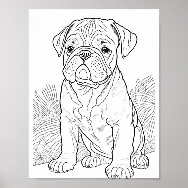 Póster Bulldog inglés Coloración de adultos (Frente)