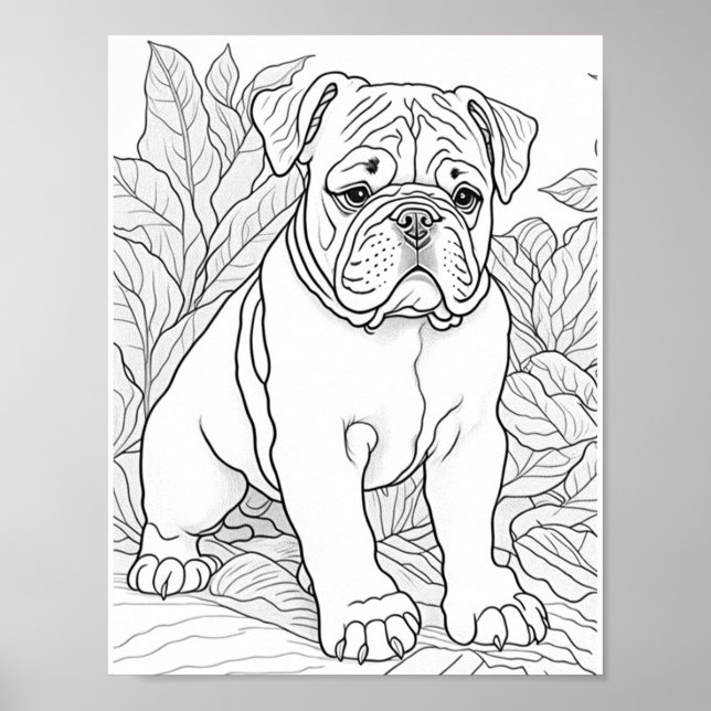 Póster Bulldog inglés Coloración de adultos (Frente)