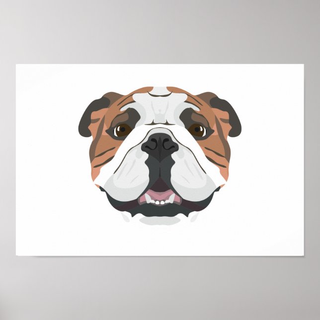 Póster Bulldog inglés ilustracion (Frente)