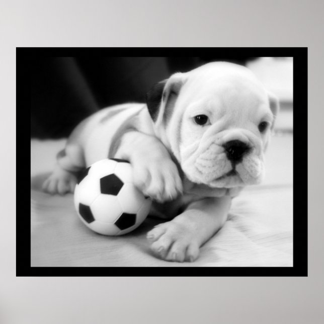 Póster bulldog inglés "Let's Play Soccer" (Frente)