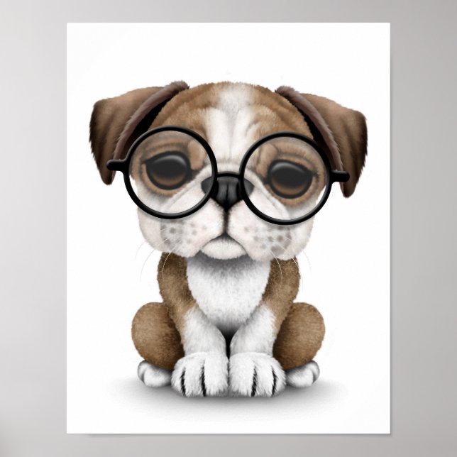 Póster Bulldog inglés lindo cachorro con lentes de vidrio (Frente)