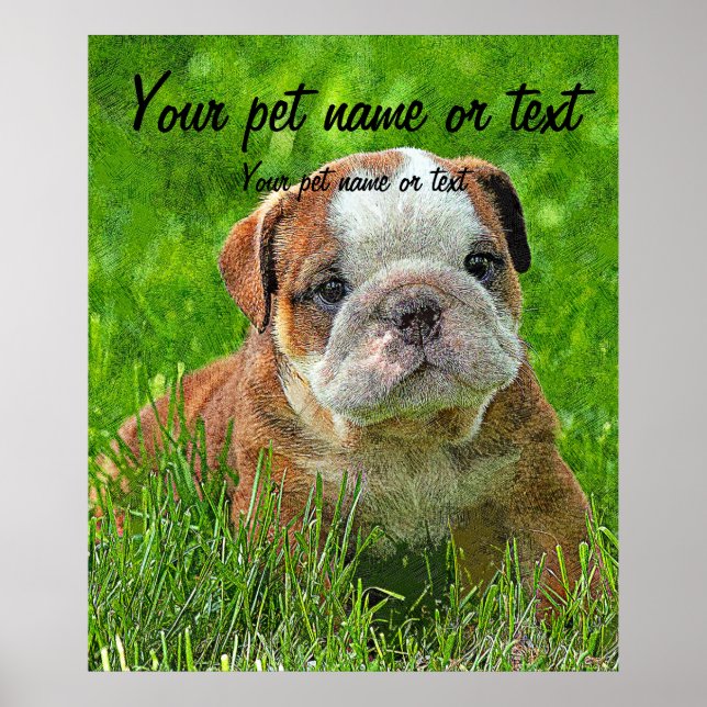 Póster Bulldog típicamente inglés en el prado (Frente)