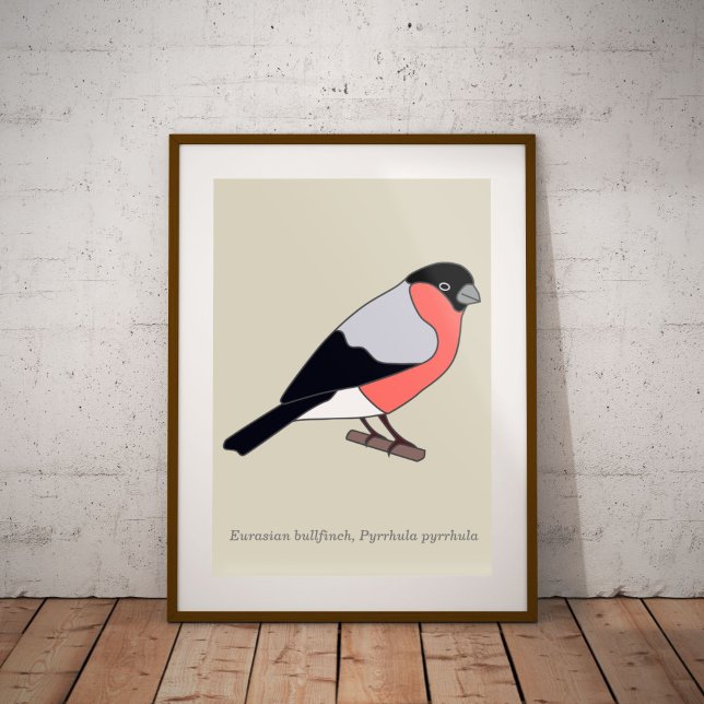 Póster Bullfinch (Bullfinch poster)