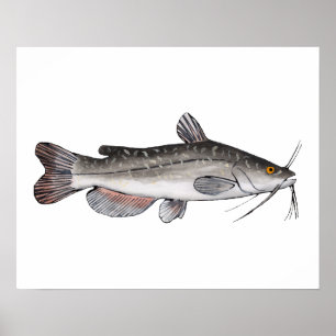 Póster Bullhead marrón