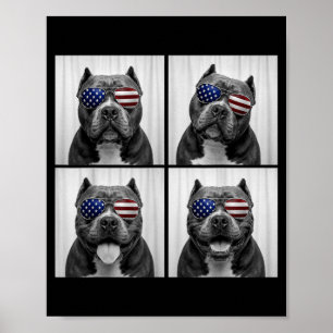 Póster Bully Americano 4 De Julio Bandera Americana Perro