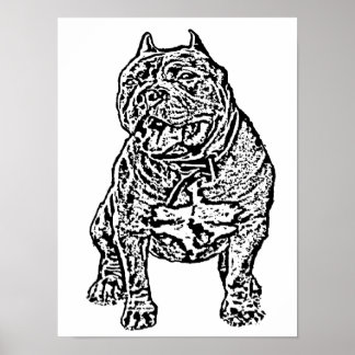 Póster Bully Dog de Estados Unidos