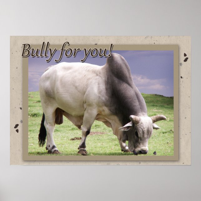 Póster ¡Bully Por Ti! Poster Brahma Bull (Frente)