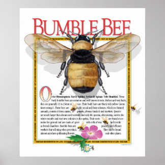 Póster Bumble Bee Poster