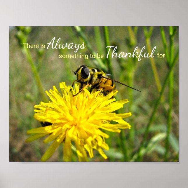 Póster Bumble Bee Yellow Dandelion Siempre Gracias (Frente)